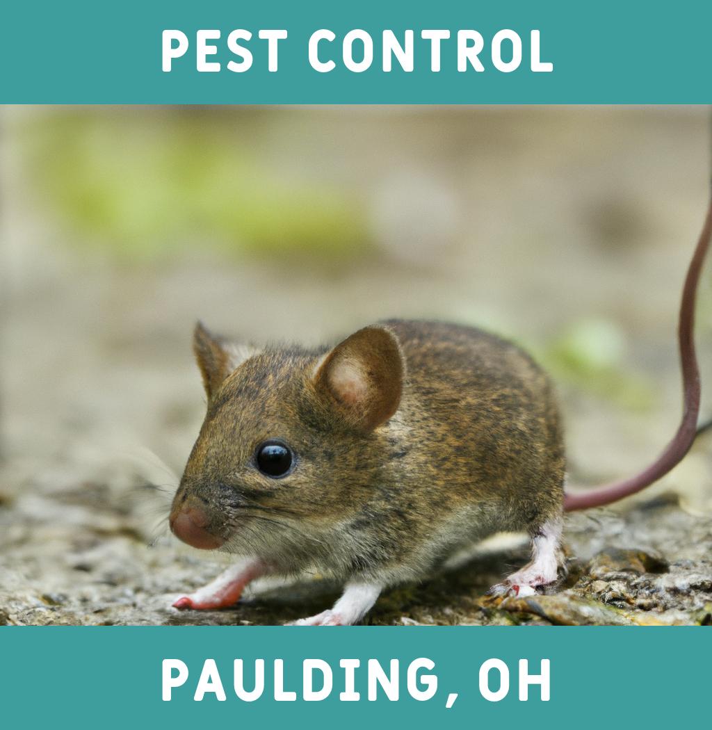 pest control in Paulding Ohio