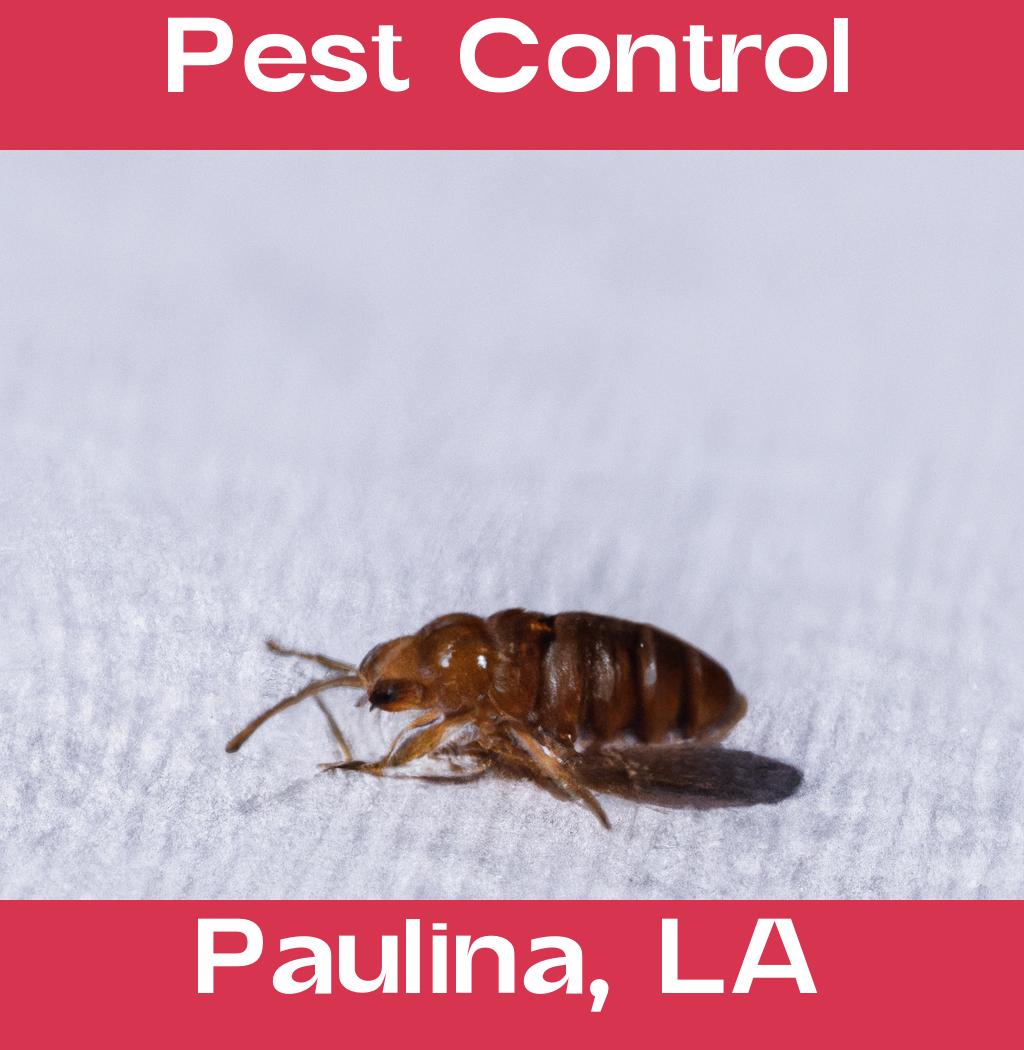 pest control in Paulina Louisiana