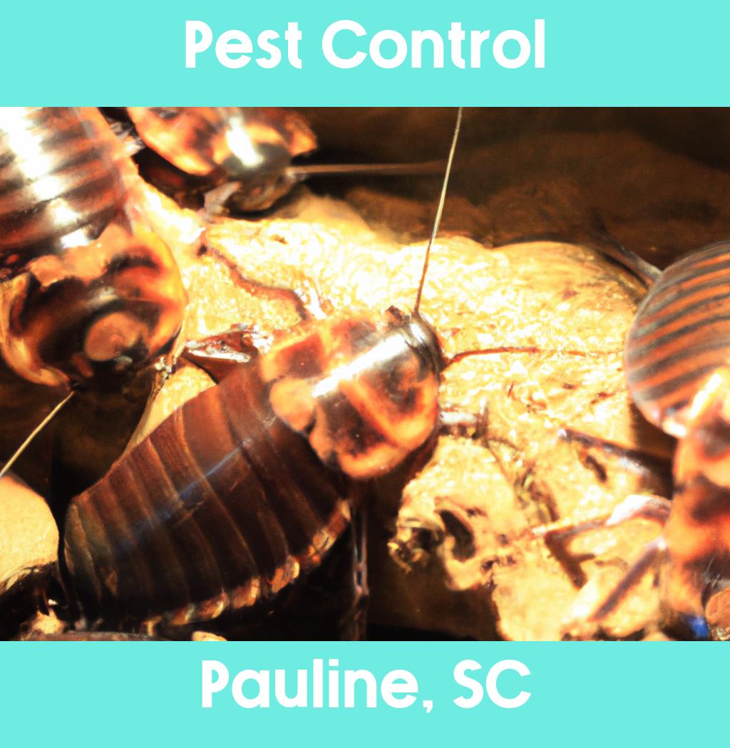 pest control in Pauline South Carolina