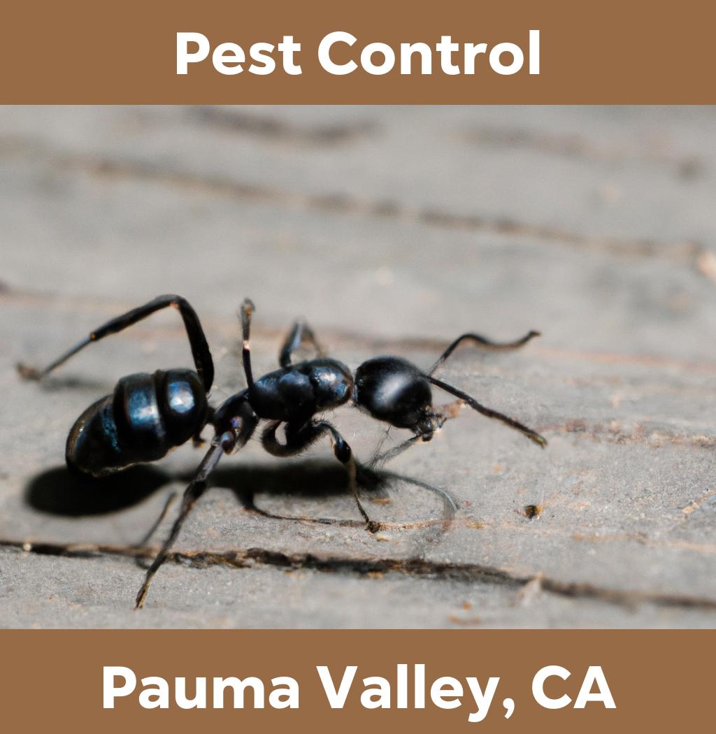 pest control in Pauma Valley California