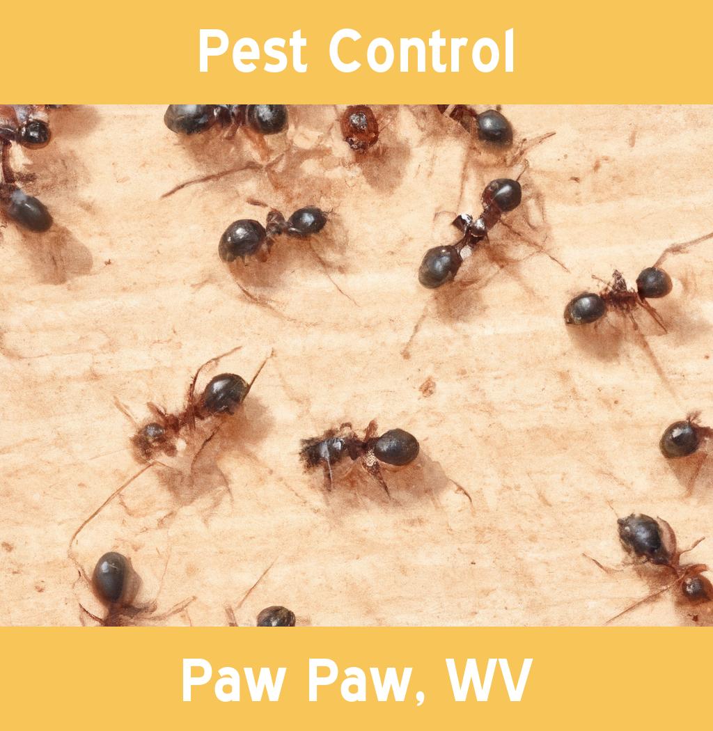 pest control in Paw Paw West Virginia