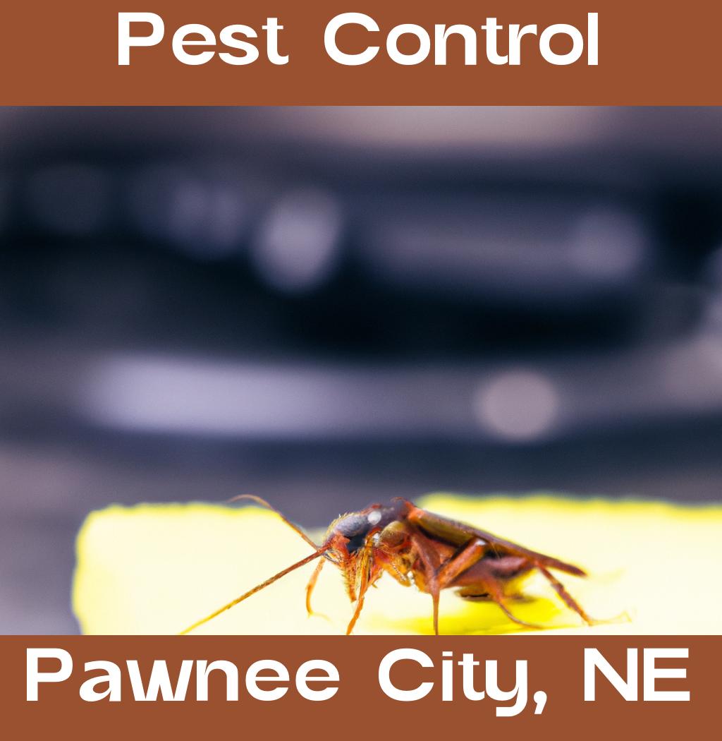 pest control in Pawnee City Nebraska