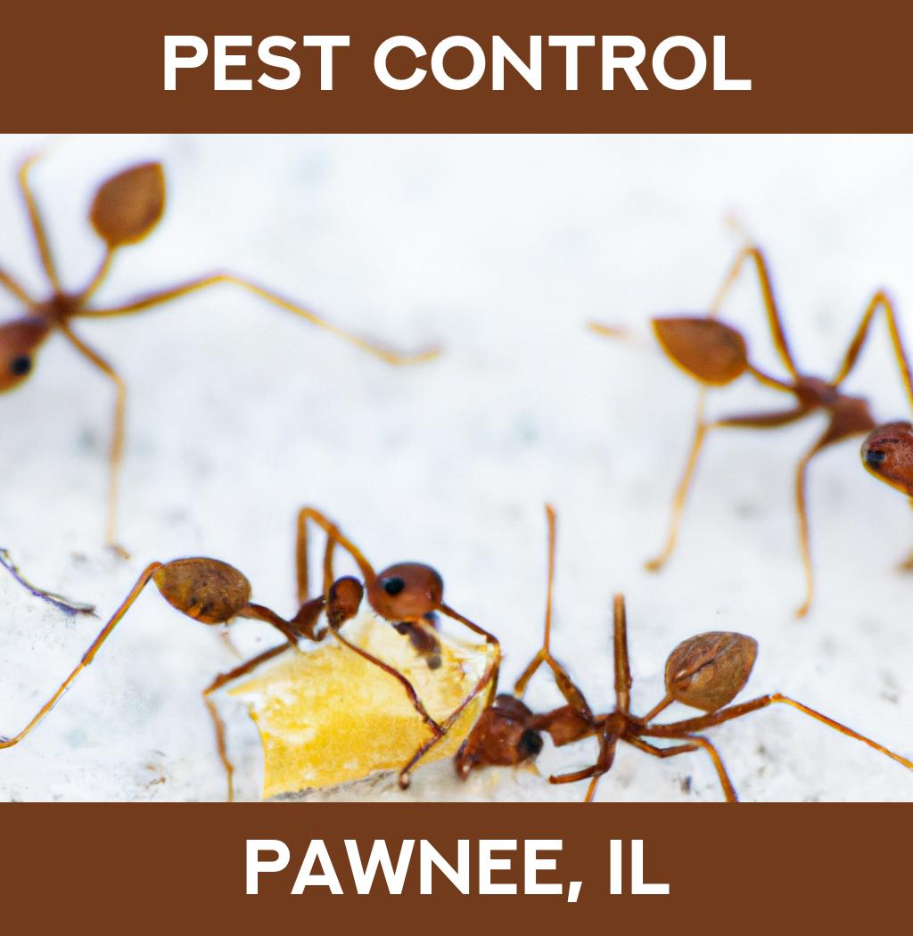pest control in Pawnee Illinois