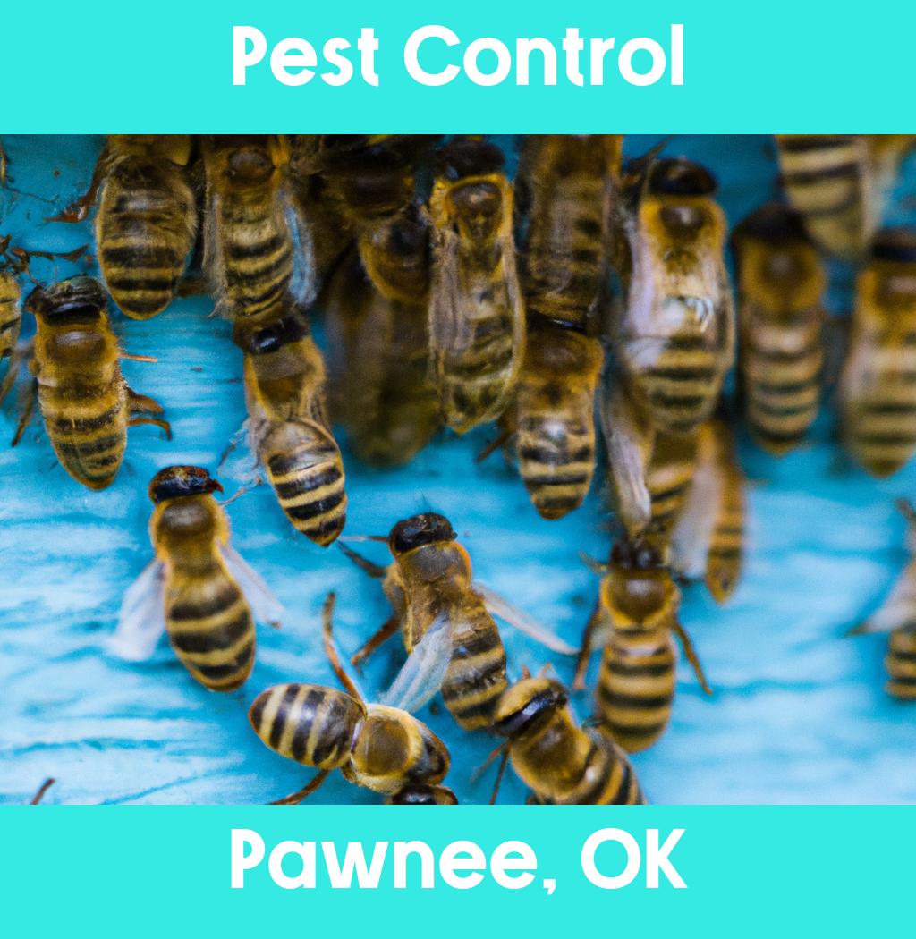 pest control in Pawnee Oklahoma