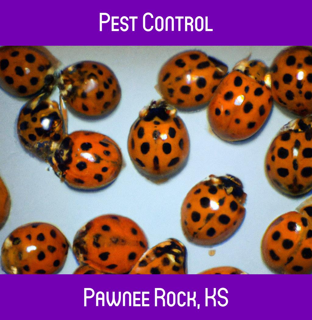 pest control in Pawnee Rock Kansas