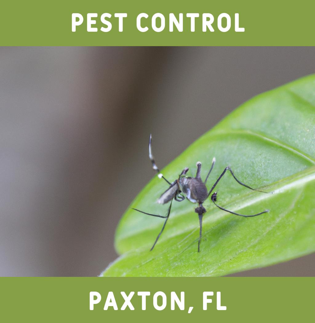 pest control in Paxton Florida