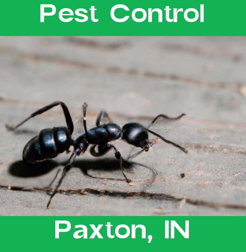 pest control in Paxton Indiana