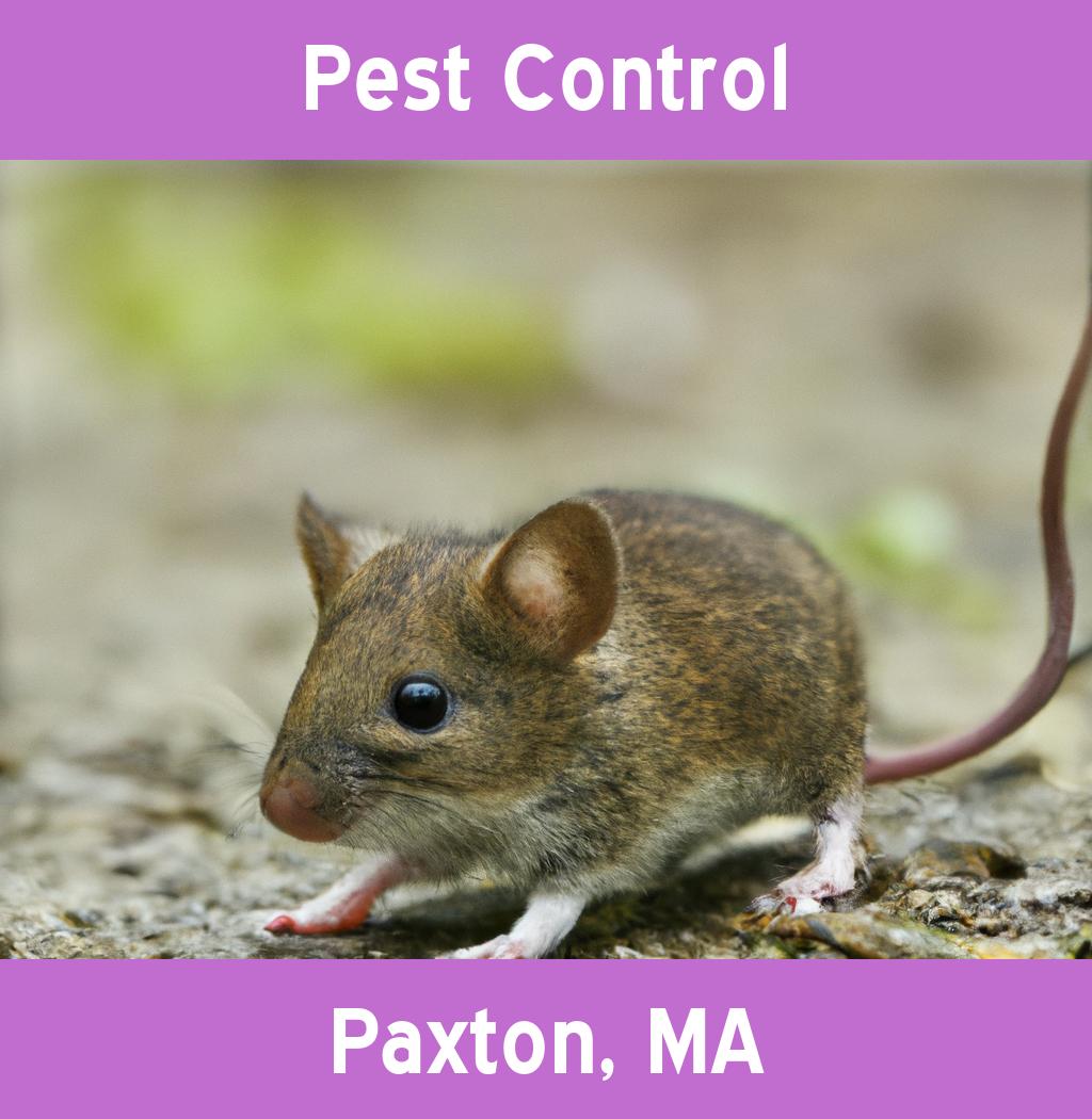 pest control in Paxton Massachusetts