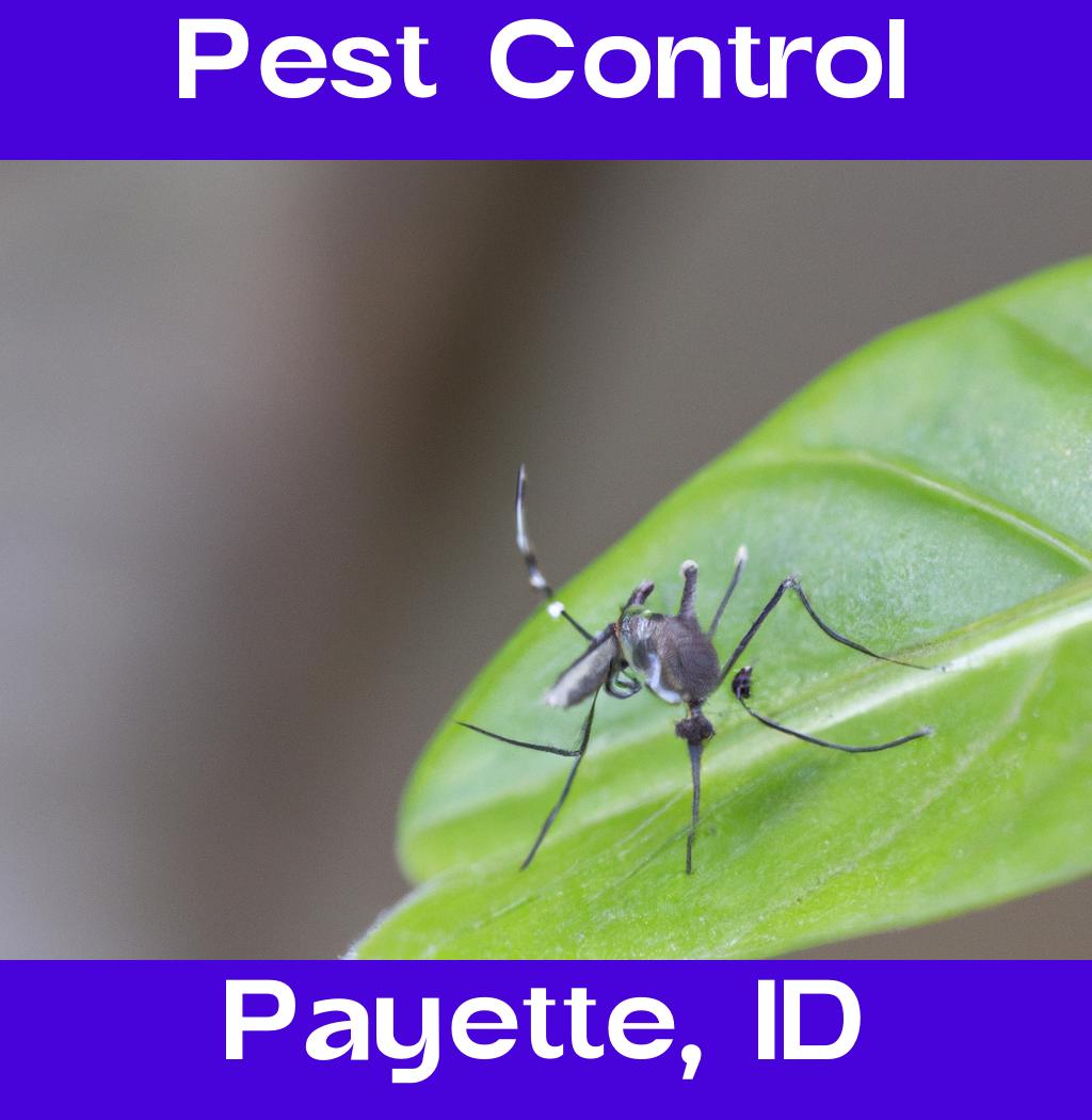 pest control in Payette Idaho