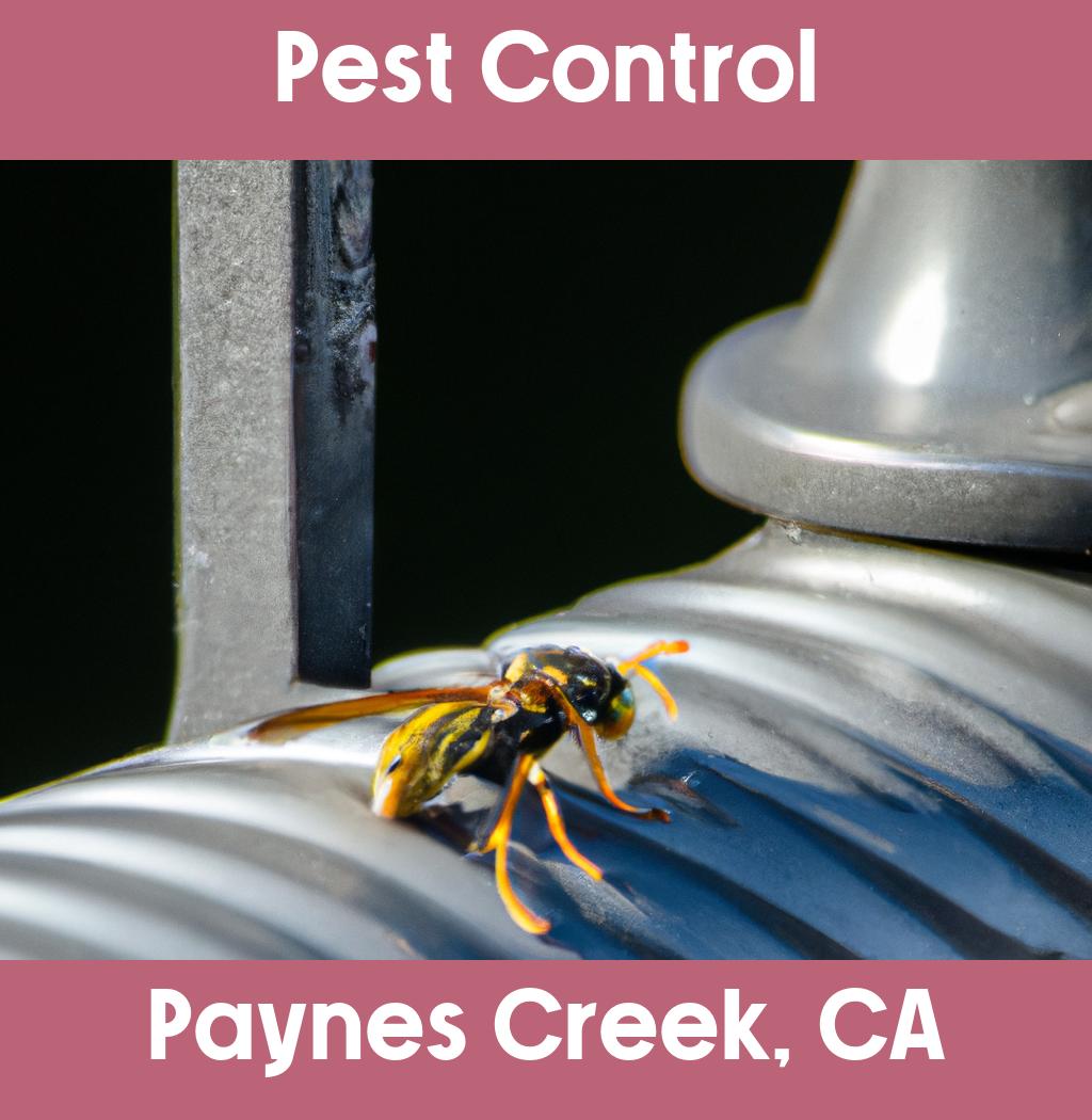 pest control in Paynes Creek California