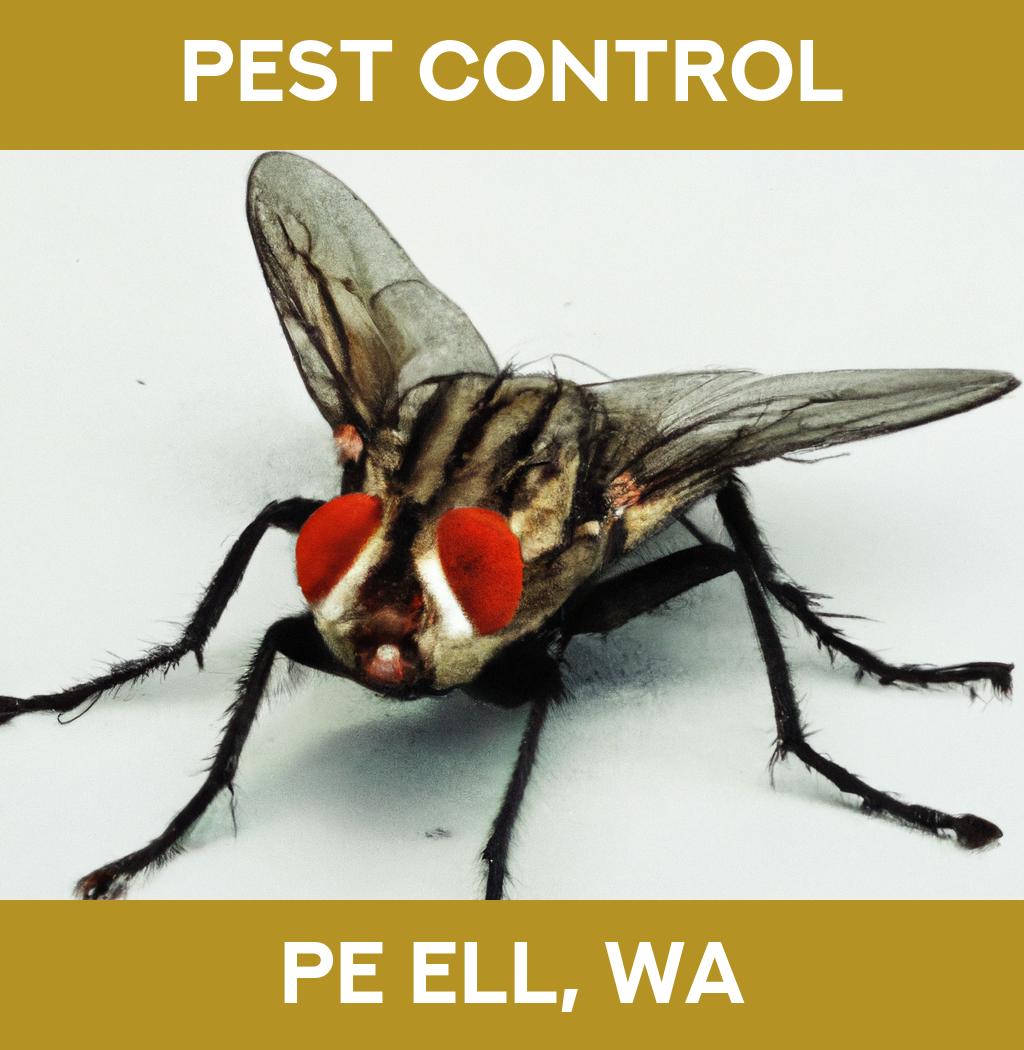 pest control in Pe Ell Washington