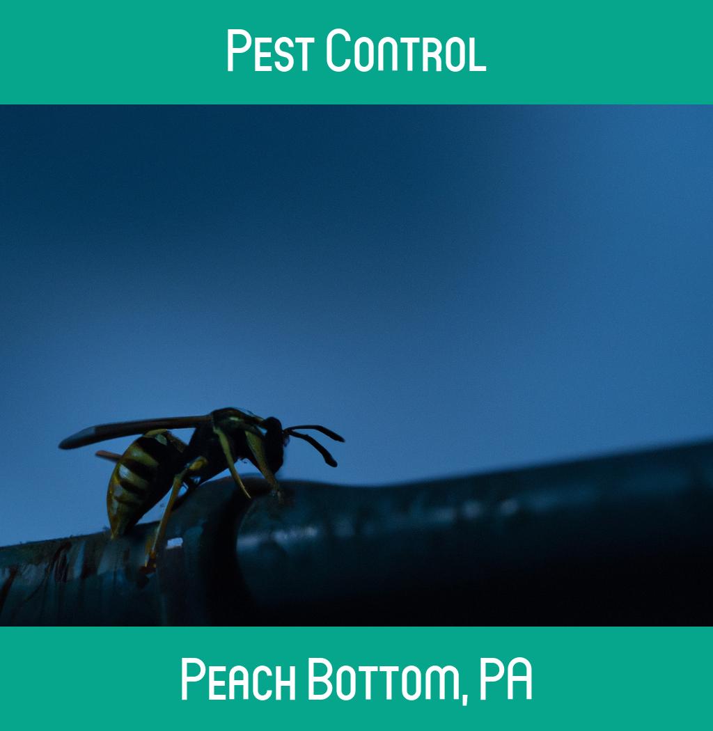 pest control in Peach Bottom Pennsylvania