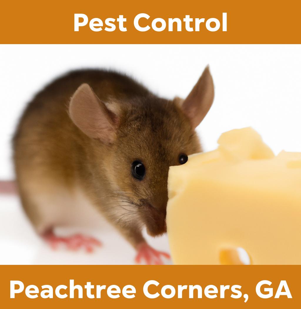 pest control in Peachtree Corners Georgia
