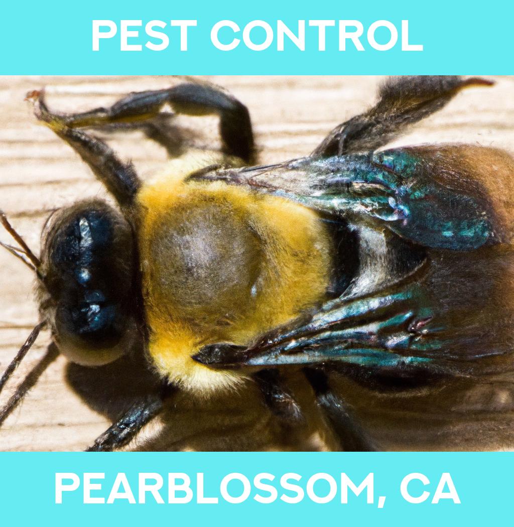 pest control in Pearblossom California