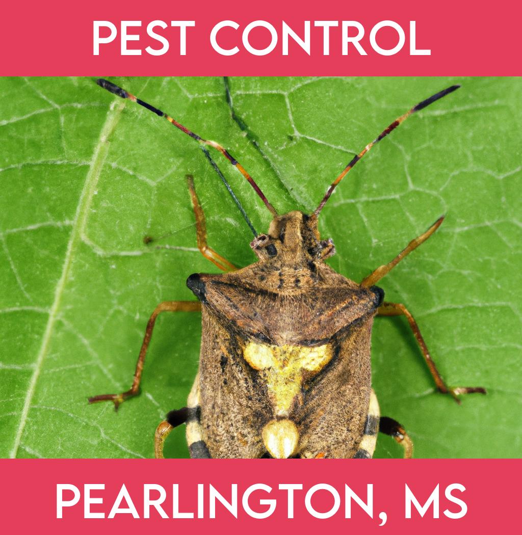 pest control in Pearlington Mississippi