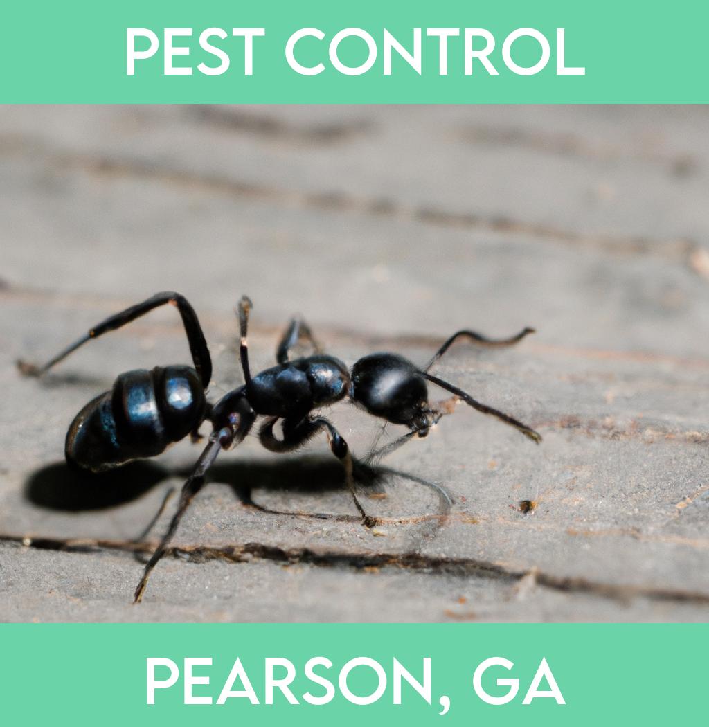 pest control in Pearson Georgia
