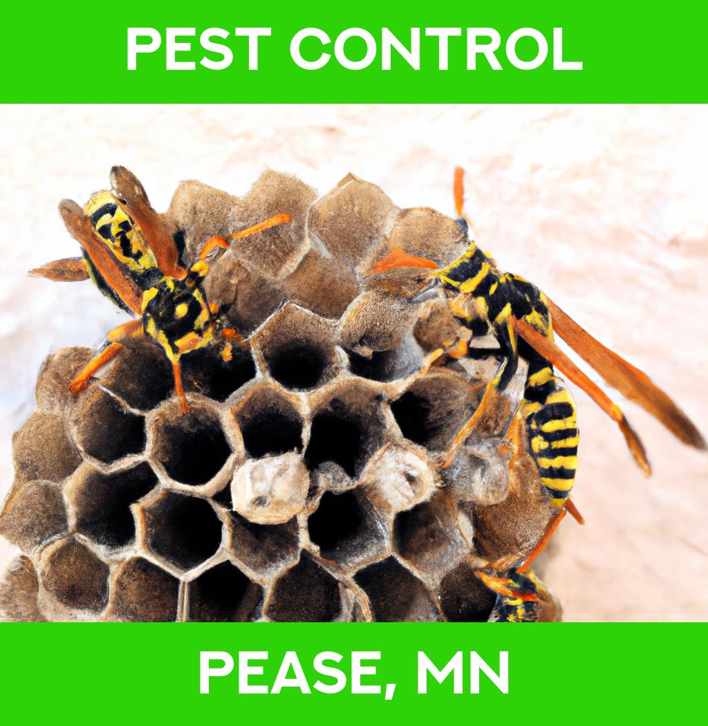 pest control in Pease Minnesota