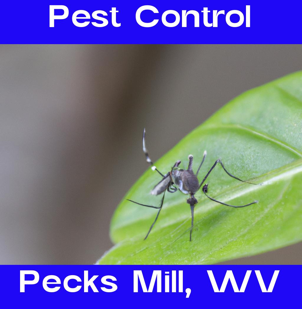pest control in Pecks Mill West Virginia