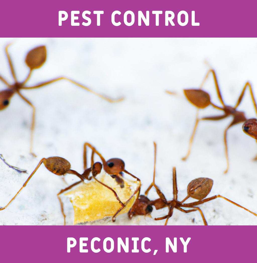 pest control in Peconic New York