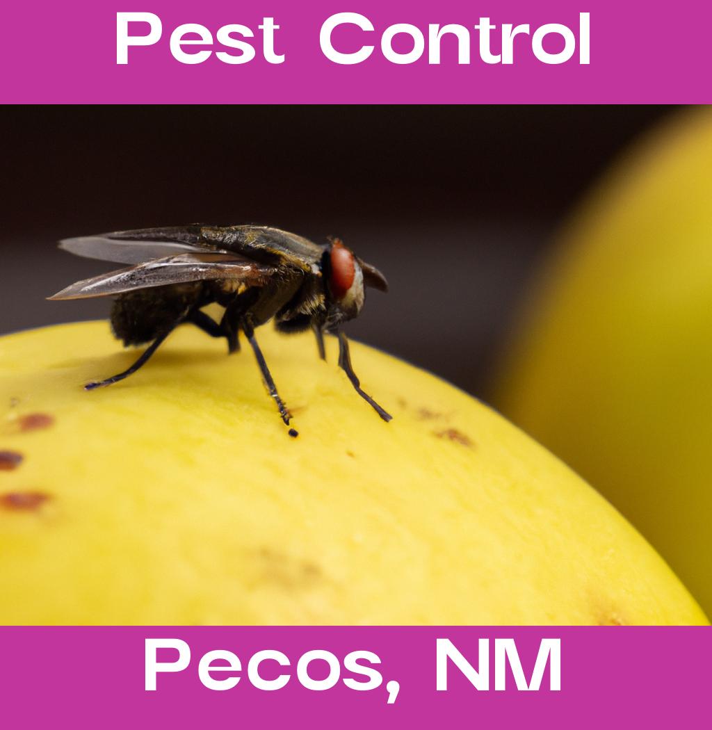 pest control in Pecos New Mexico