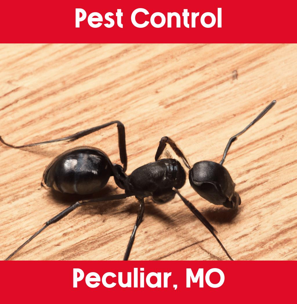 pest control in Peculiar Missouri
