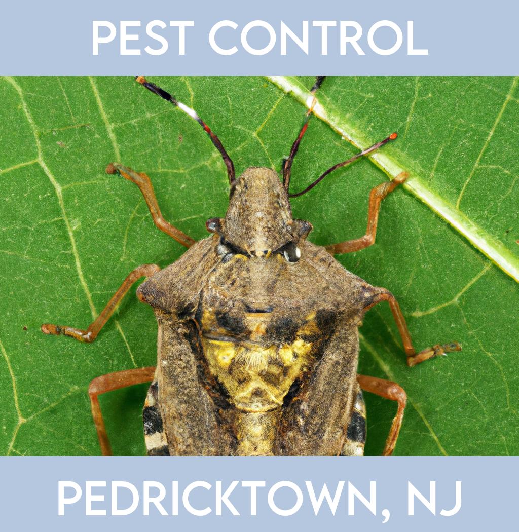pest control in Pedricktown New Jersey