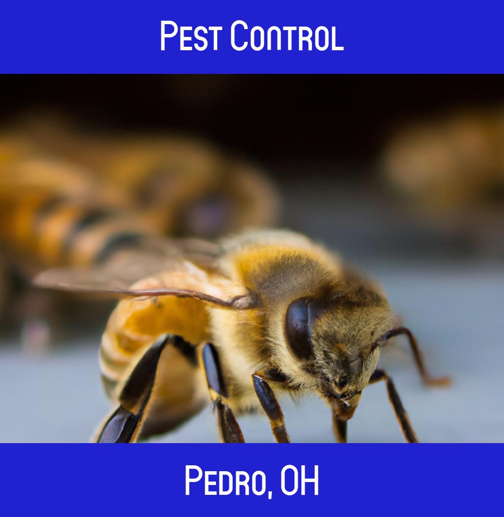 pest control in Pedro Ohio