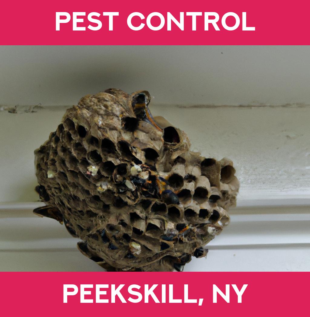 pest control in Peekskill New York