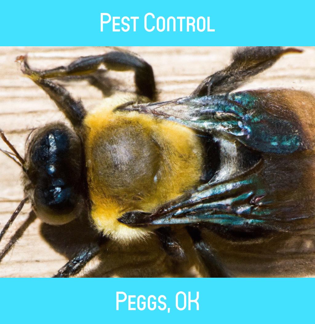 pest control in Peggs Oklahoma