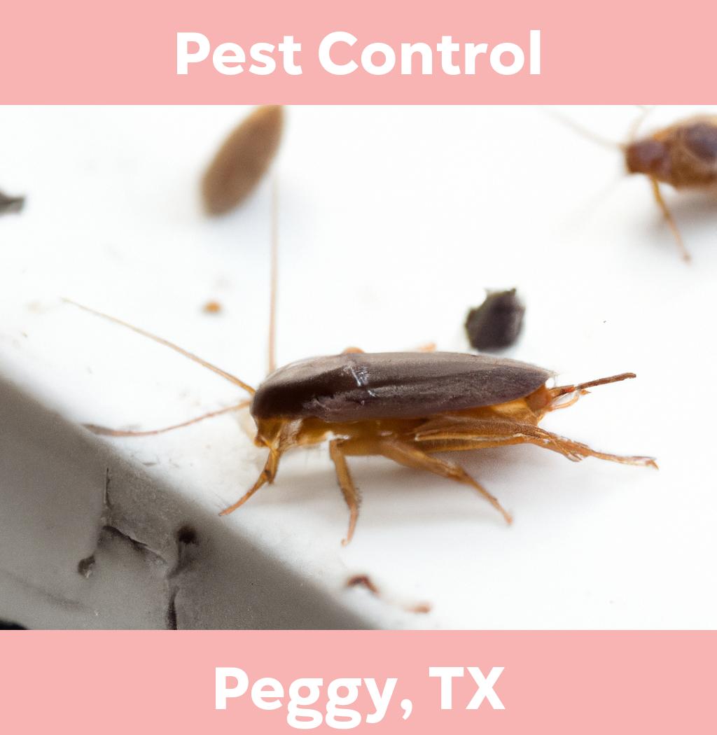 pest control in Peggy Texas