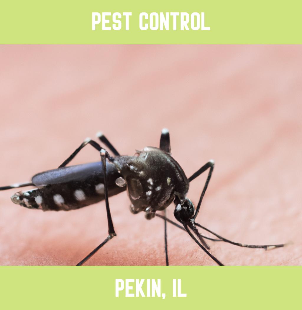 pest control in Pekin Illinois