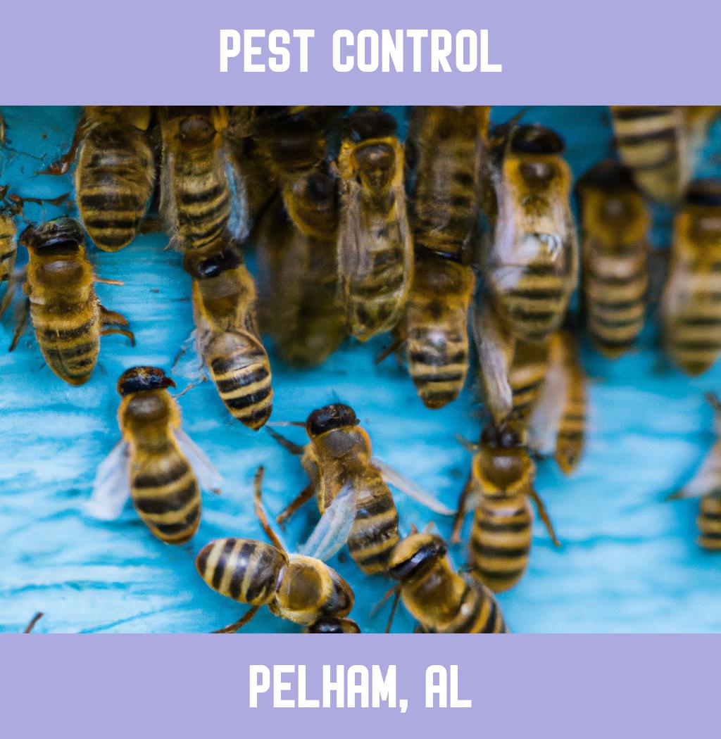 pest control in Pelham Alabama