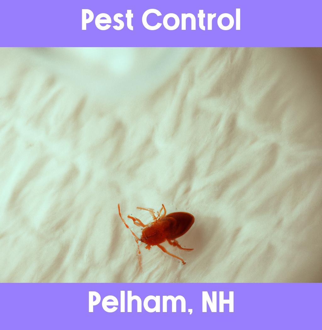 pest control in Pelham New Hampshire