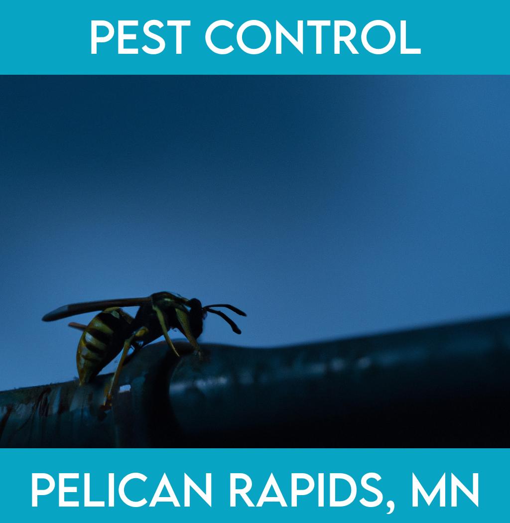 pest control in Pelican Rapids Minnesota