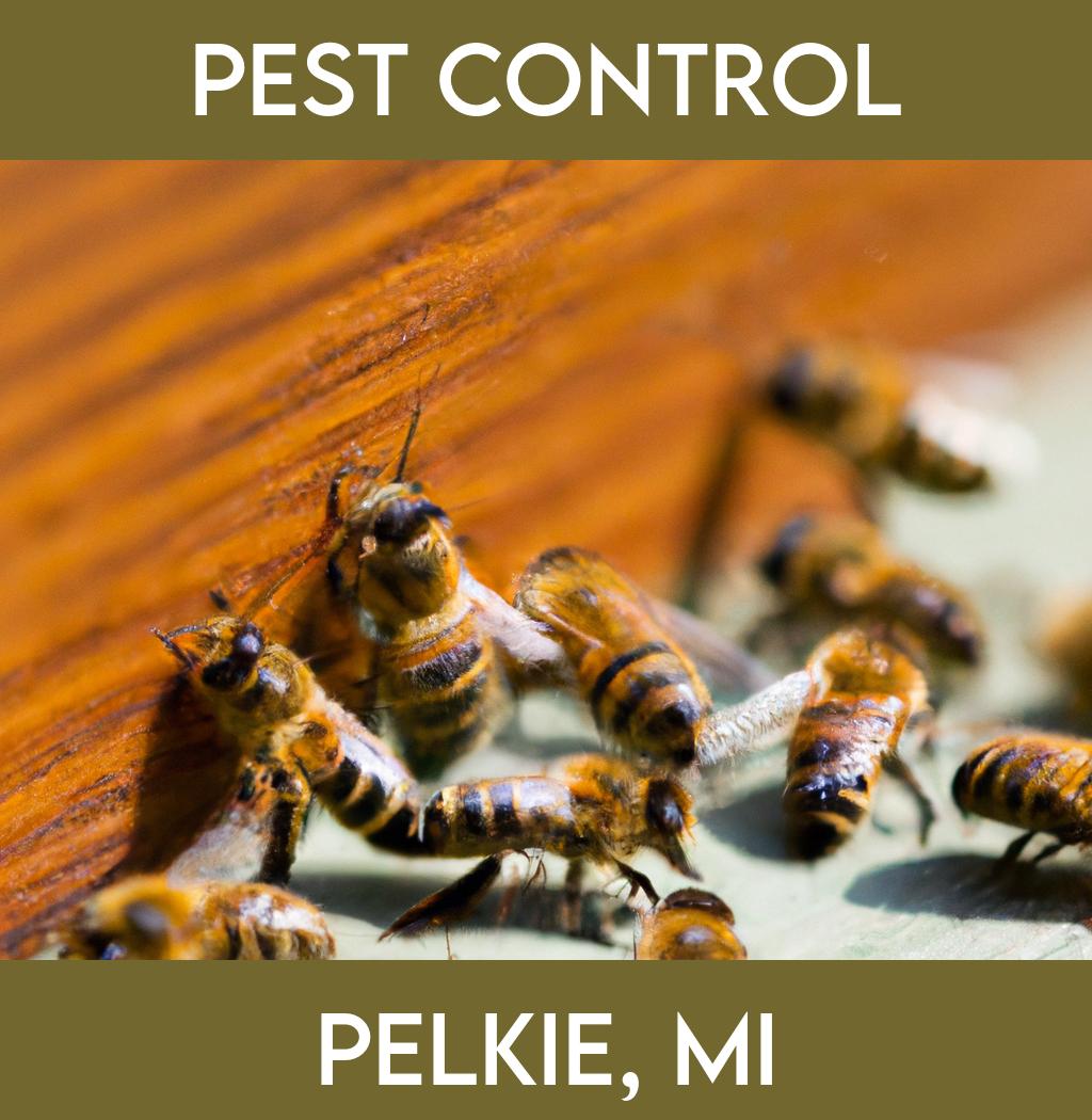 pest control in Pelkie Michigan