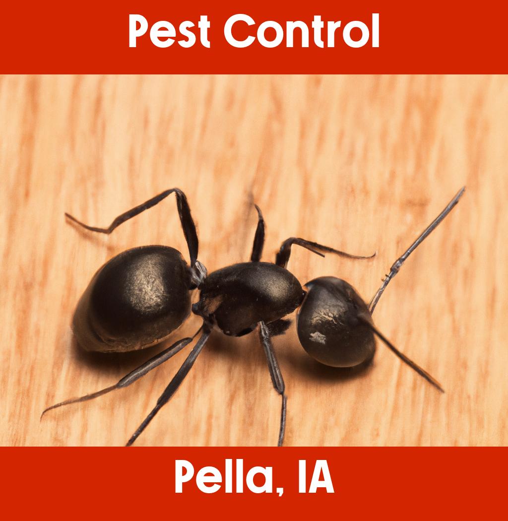 pest control in Pella Iowa