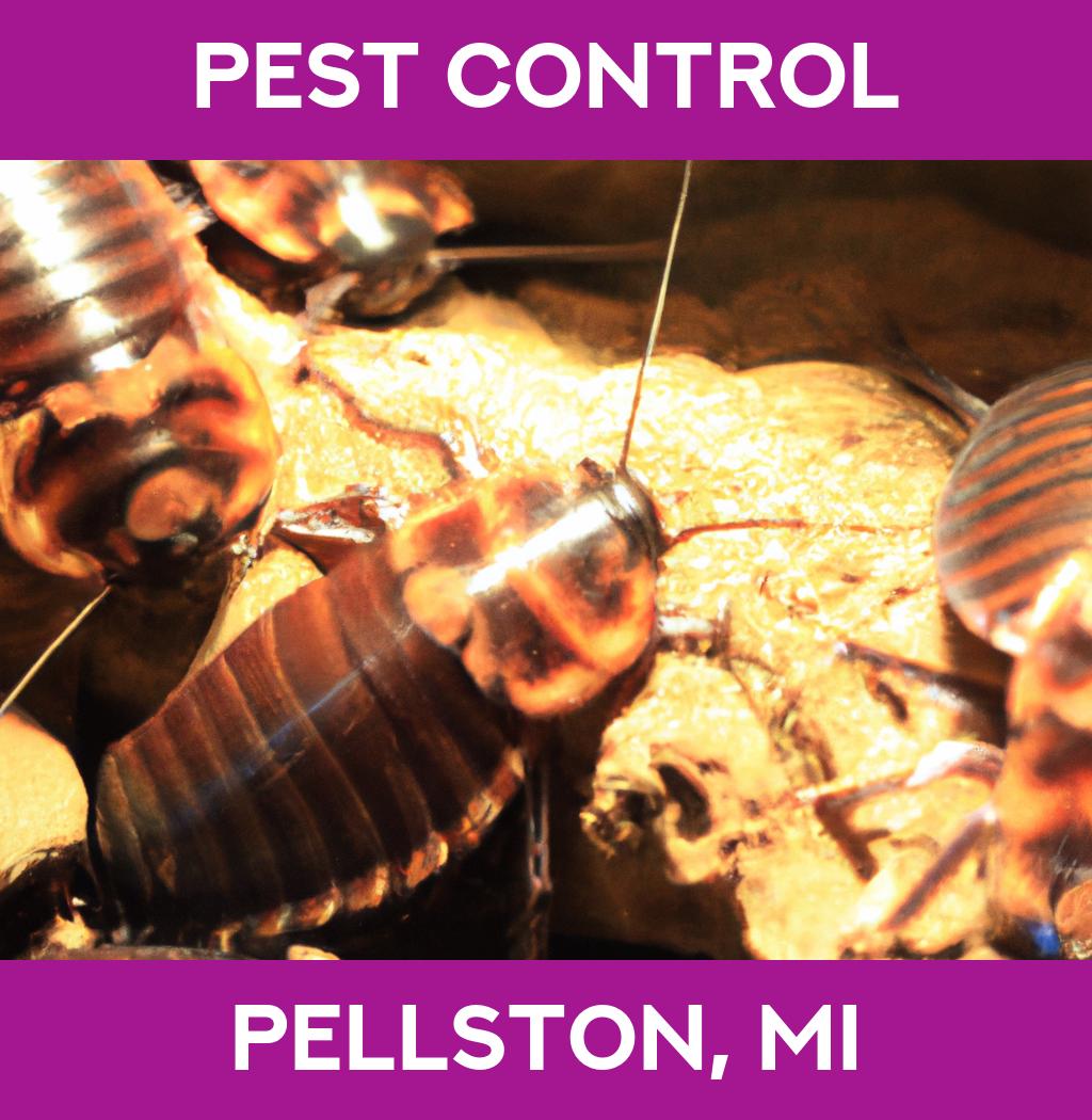 pest control in Pellston Michigan