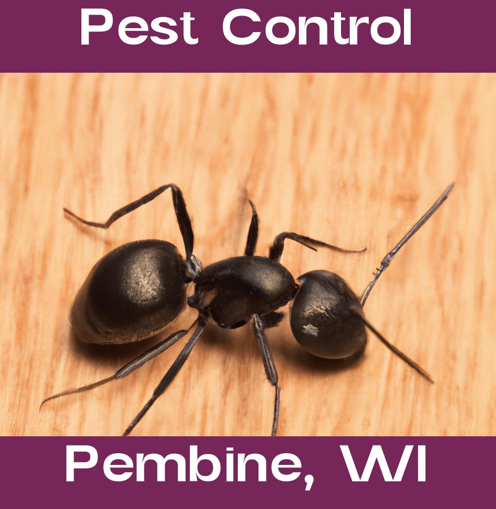 pest control in Pembine Wisconsin