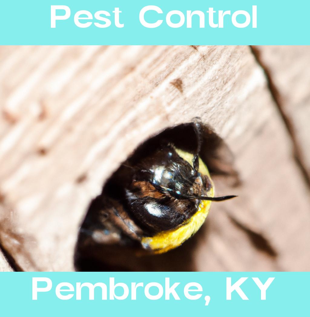 pest control in Pembroke Kentucky