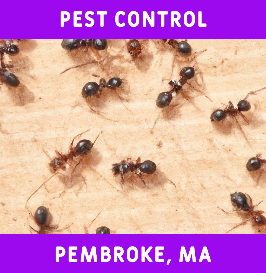 pest control in Pembroke Massachusetts