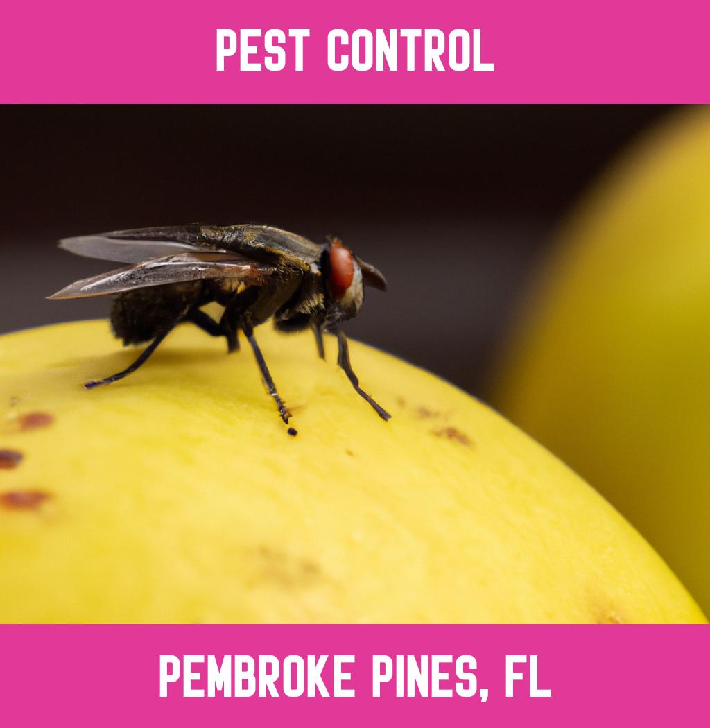 pest control in Pembroke Pines Florida