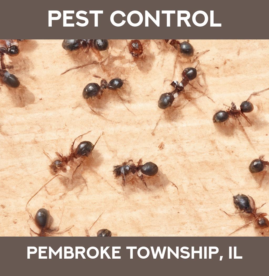 pest control in Pembroke Township Illinois