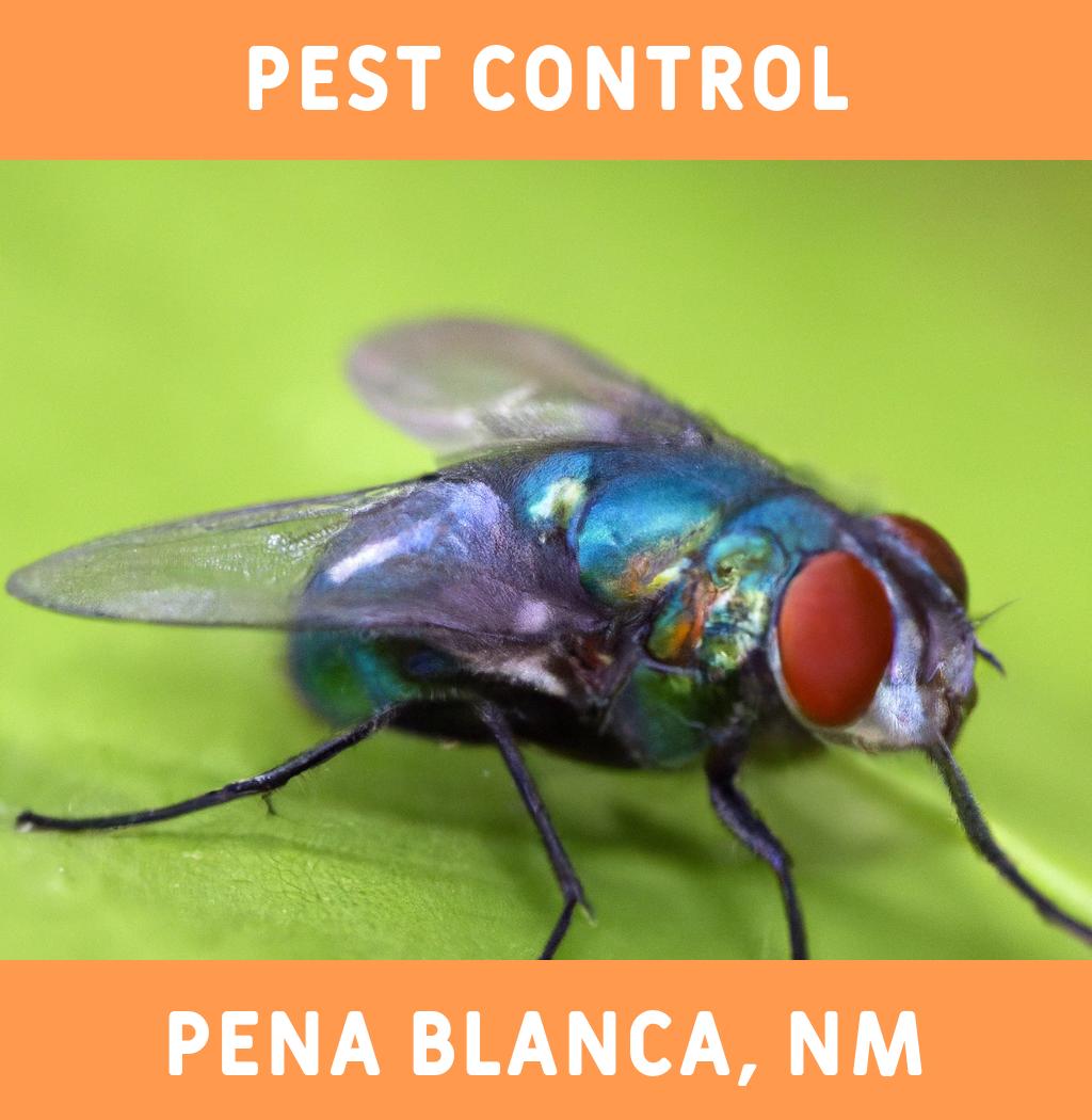 pest control in Pena Blanca New Mexico