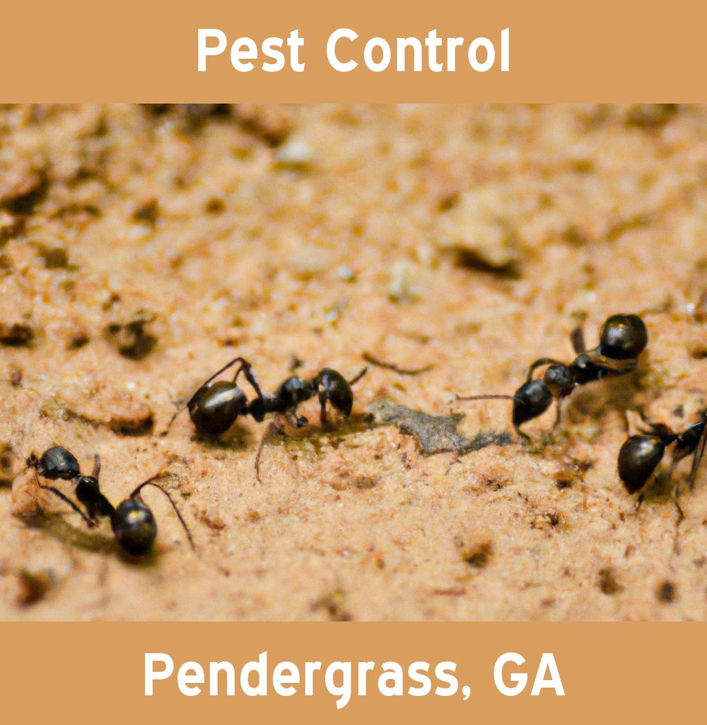 pest control in Pendergrass Georgia