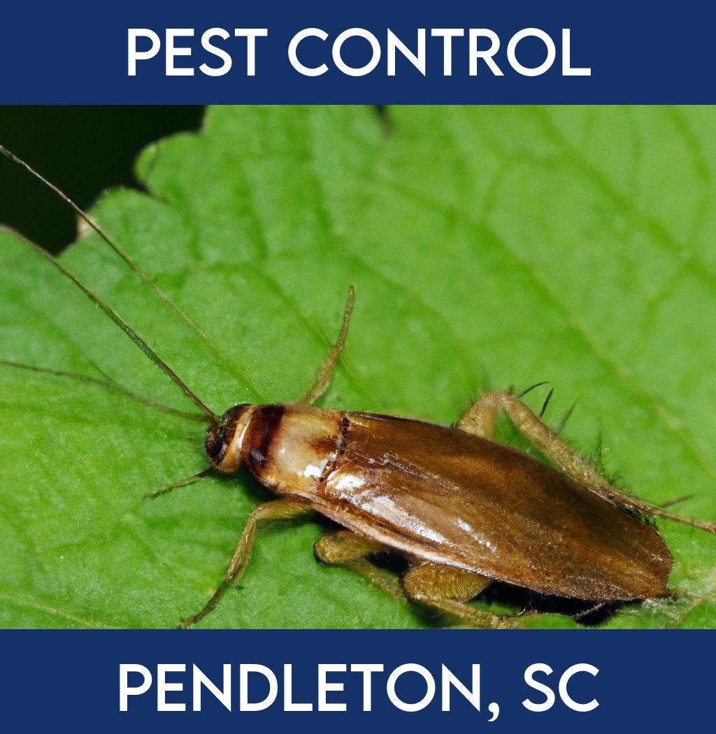 pest control in Pendleton South Carolina