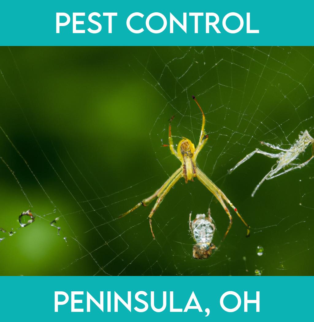 pest control in Peninsula Ohio