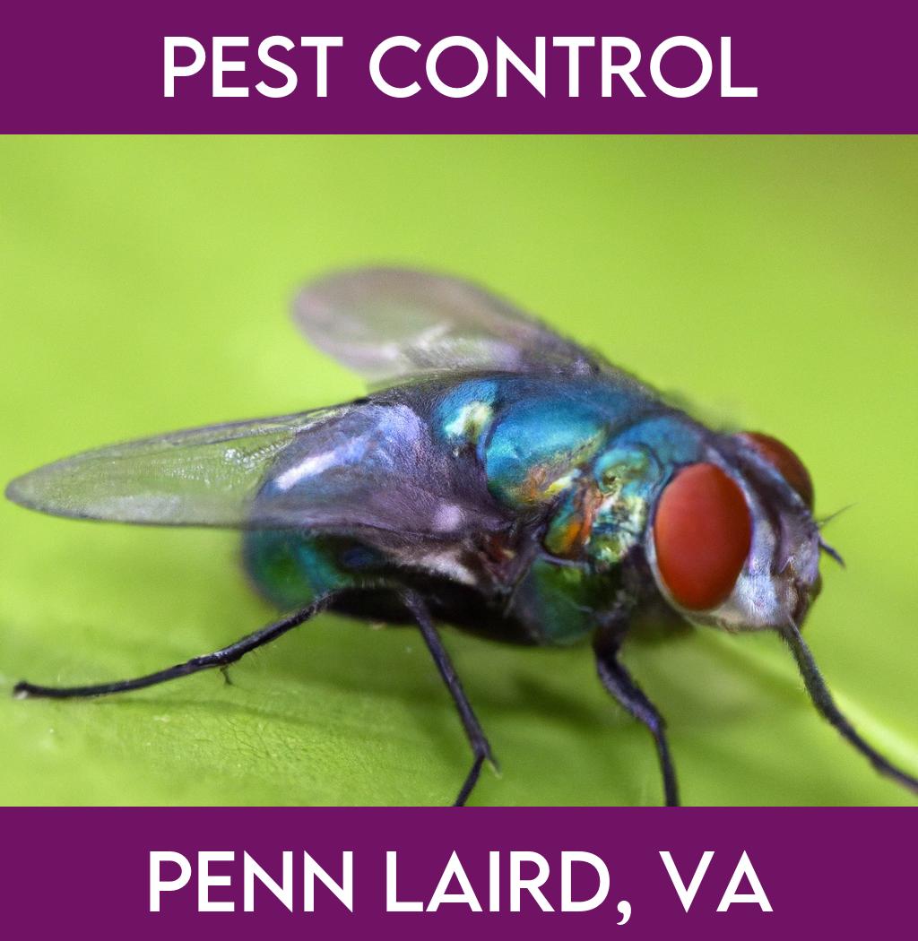 pest control in Penn Laird Virginia