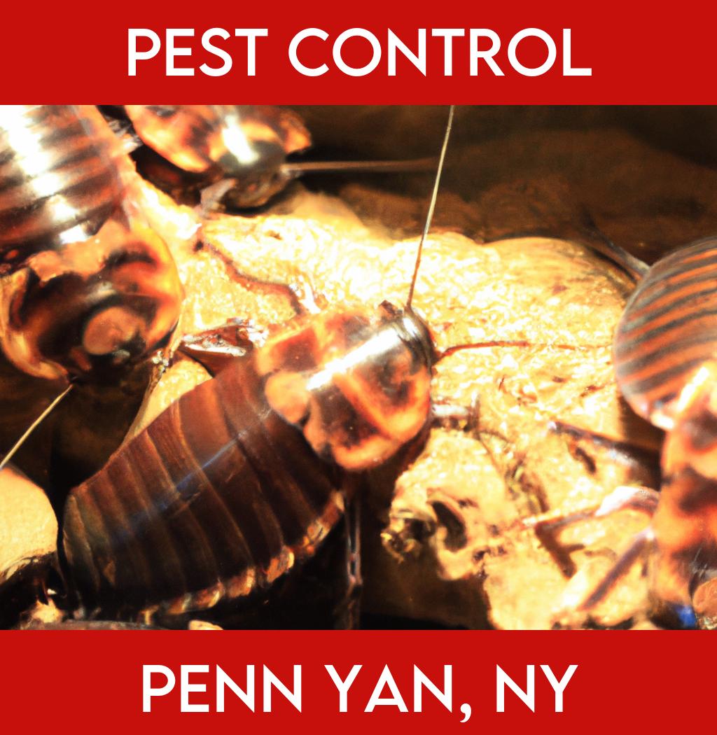 pest control in Penn Yan New York