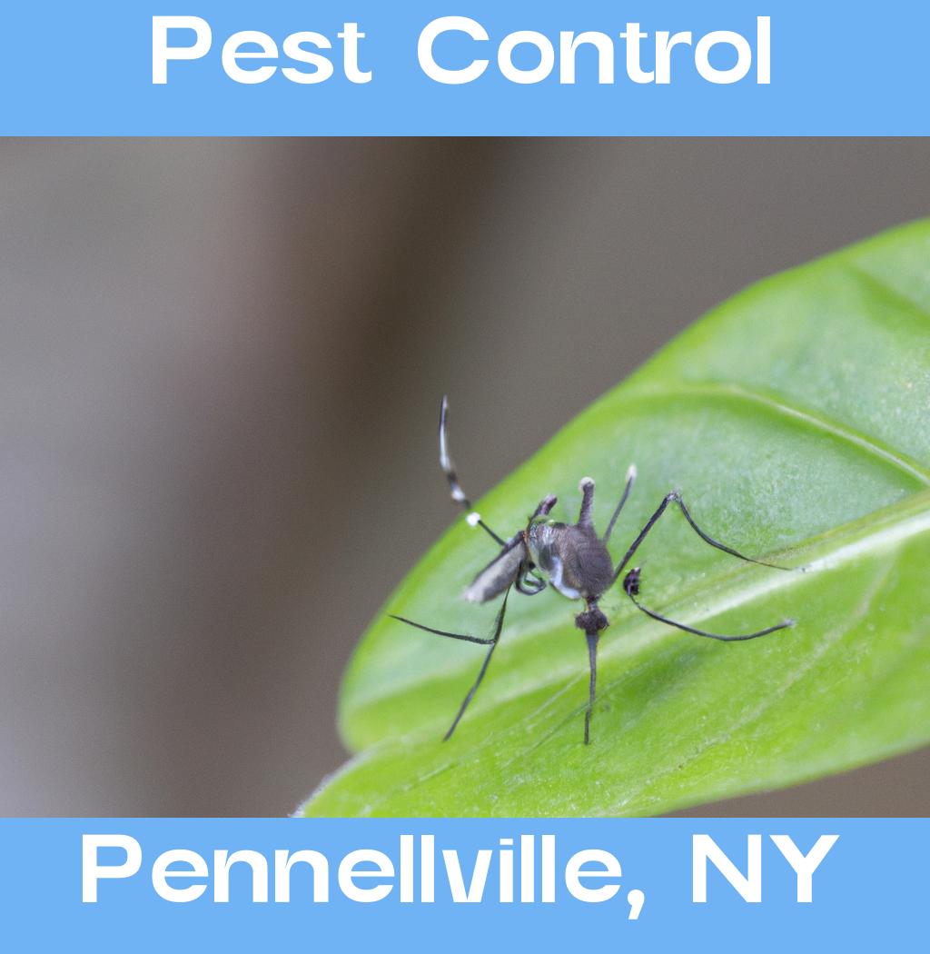 pest control in Pennellville New York