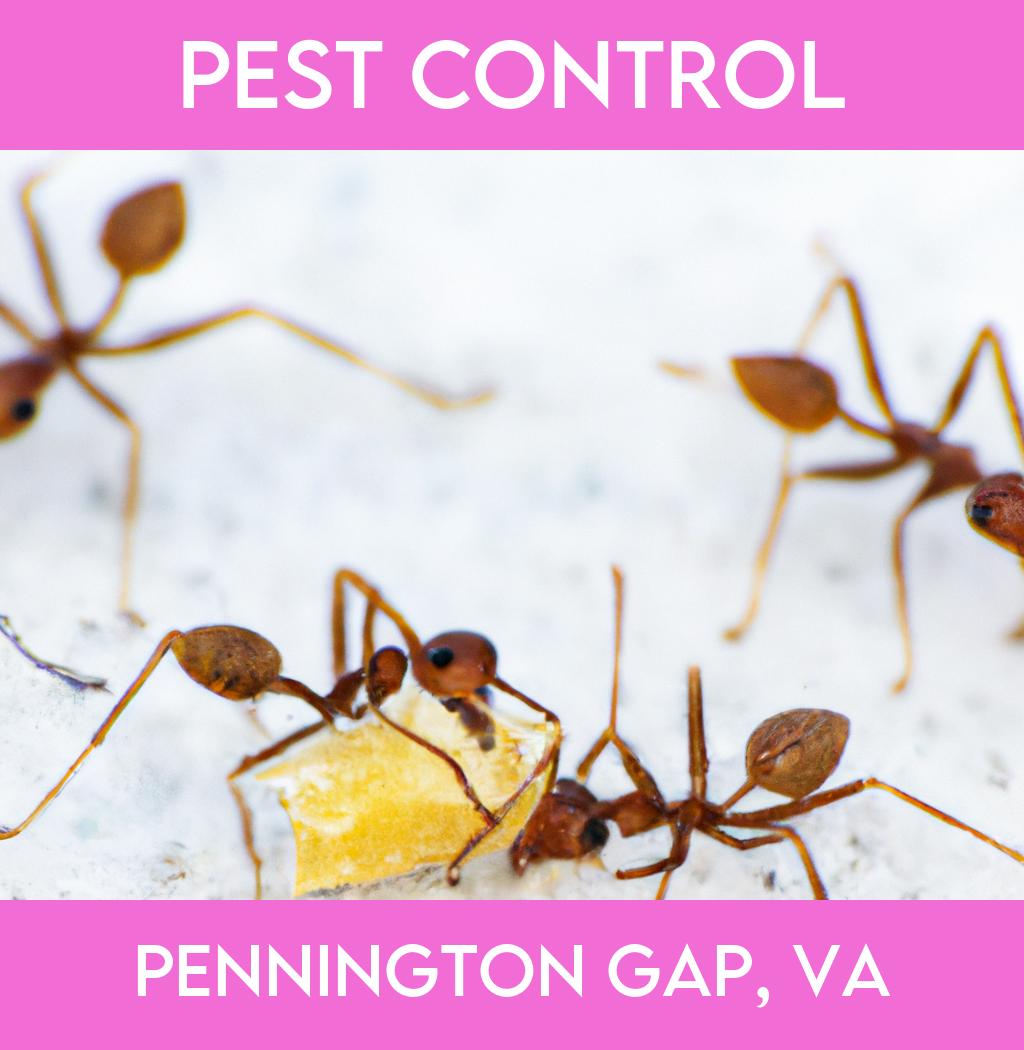 pest control in Pennington Gap Virginia